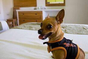 Best Western Posada Chahue