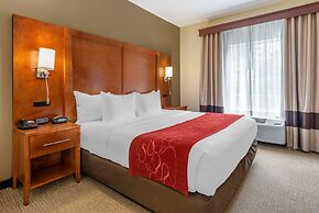 Comfort Suites Newark - Harrison