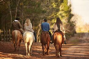 Carmelo Resort & Spa