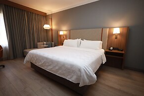 Holiday Inn Durango by IHG