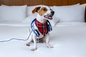 Radisson Blu São Paulo