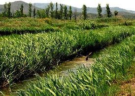 Complejo Bellavista Residencial