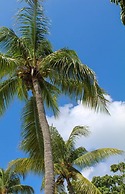 Sapphire Beach Club Resort