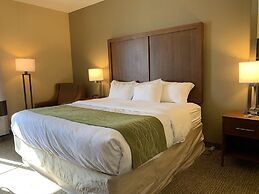 Comfort Inn Green Valley I-19