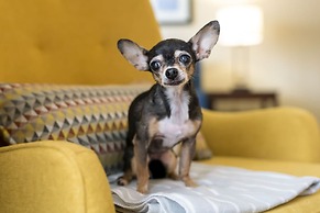 Comfort Suites Near Universal Orlando Resort