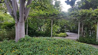 The Meadows Resort and Spa