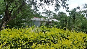 The Meadows Resort and Spa