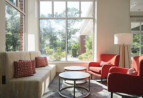 Hilton Garden Inn Tampa East/Brandon