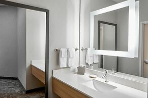 Springhill Suites By Marriott Memphis Downtown