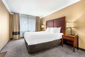 Comfort Inn & Suites Redwood Country