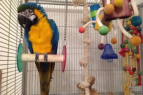 Glenspean Lodge Hotel