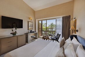 Orchid Eilat
