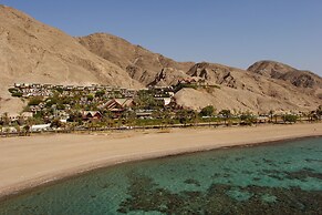 Orchid Eilat