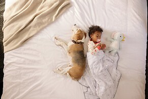 Staybridge Suites Silicon Valley by IHG