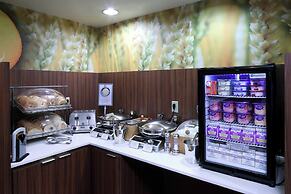 Fairfield Inn & Suites Newark Liberty International Airport