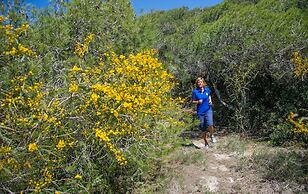 Ecoresort Le Sirenè - Caroli Hotels