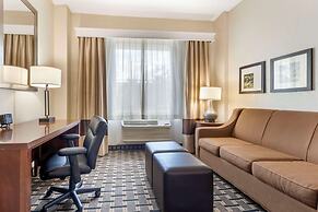 Comfort Inn Summerville - Charleston