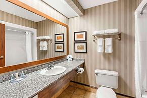 Comfort Inn Summerville - Charleston