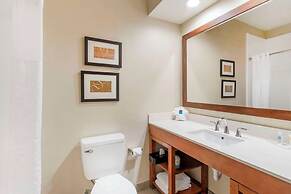 Comfort Inn Summerville - Charleston