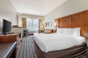 Comfort Inn Summerville - Charleston