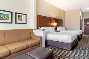 Comfort Inn Summerville - Charleston