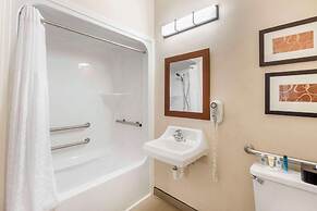 Comfort Inn Summerville - Charleston