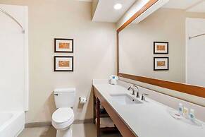 Comfort Inn Summerville - Charleston