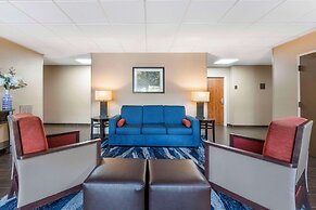 Comfort Inn Summerville - Charleston