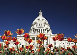 Kimpton Hotel Monaco Washington DC by IHG