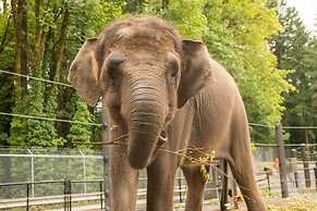 Inn at Northrup Station