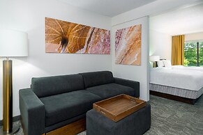 SpringHill Suites by Marriott Asheville