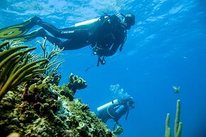 St. James's Club Antigua - All Inclusive