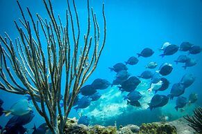 St. James's Club Antigua - All Inclusive