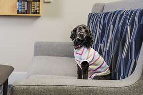 Holiday Inn Express Rochester NE- Irondequoit by IHG