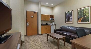 Best Western Plus Valemount Inn & Suites