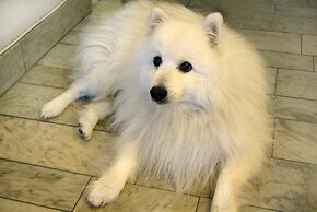 Sure Hotel by Best Western City Jonkoping