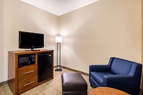 Comfort Inn & Suites IAH Bush Airport – East