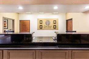 Comfort Inn & Suites IAH Bush Airport – East