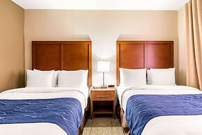 Comfort Inn & Suites IAH Bush Airport – East