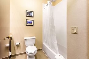 Comfort Inn & Suites IAH Bush Airport – East