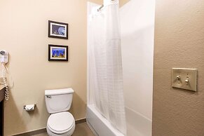 Comfort Inn & Suites IAH Bush Airport – East