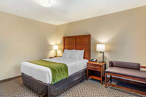 Comfort Inn & Suites Lancaster Antelope Valley