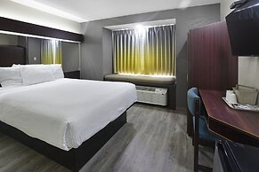 Microtel Inn & Suites by Wyndham Meridian