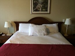 Manchester Inn and Suites
