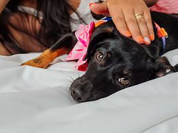 Mercure Jaraguá do Sul Hotel