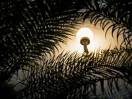 Mercure Jaraguá do Sul Hotel