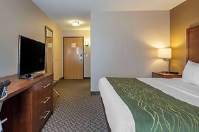 Comfort Inn Charlotte