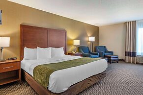Comfort Inn Charlotte