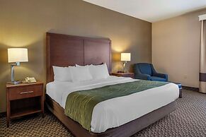 Comfort Inn Charlotte