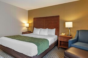 Comfort Inn Charlotte